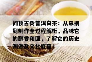 问顶古树普洱白茶：从采摘到制作全过程解析，品味它的醇香和回，了解它的历史渊源及文化底蕴！