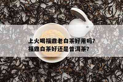 上火喝福鼎老白茶好用吗？福鼎白茶好还是普洱茶？