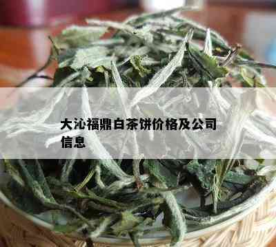 大沁福鼎白茶饼价格及公司信息