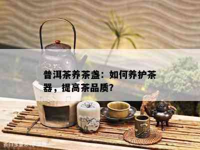 普洱茶养茶盏：如何养护茶器，提高茶品质？