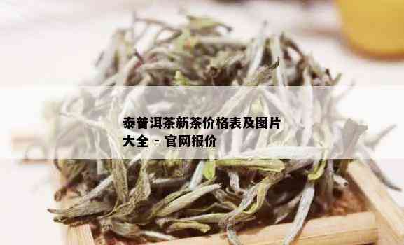 泰普洱茶新茶价格表及图片大全 - 官网报价