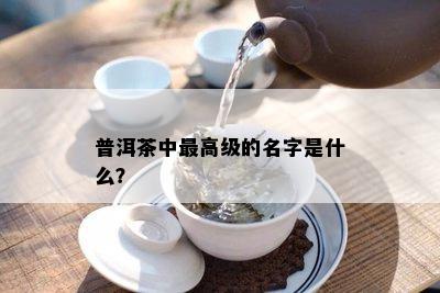 普洱茶中更高级的名字是什么？