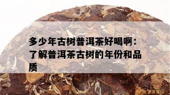 多少年古树普洱茶好喝啊：了解普洱茶古树的年份和品质