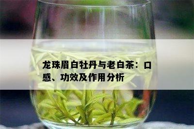 龙珠眉白牡丹与老白茶：口感、功效及作用分析