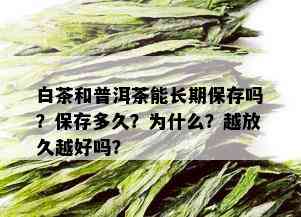 白茶和普洱茶能长期保存吗？保存多久？为什么？越放久越好吗？