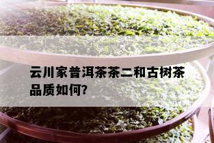 云川家普洱茶茶二和古树茶品质如何？