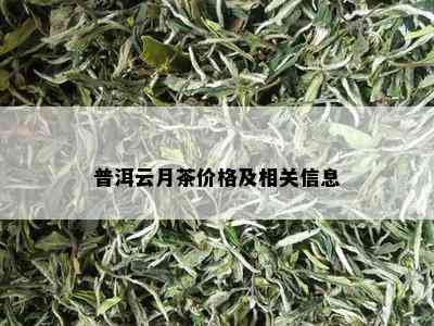 普洱云月茶价格及相关信息