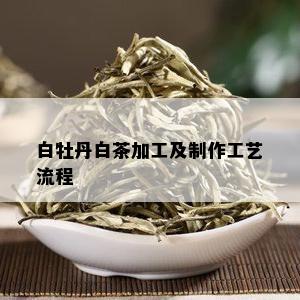 白牡丹白茶加工及制作工艺流程