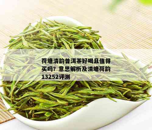 荷塘清韵普洱茶好喝且值得买吗？意思解析及清塘荷韵13252评测