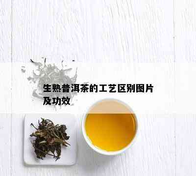 生熟普洱茶的工艺区别图片及功效