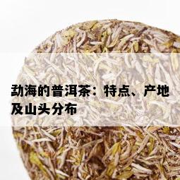 勐海的普洱茶：特点、产地及山头分布