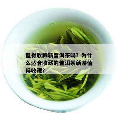 值得收藏新普洱茶吗？为什么适合收藏的普洱茶新茶值得收藏？