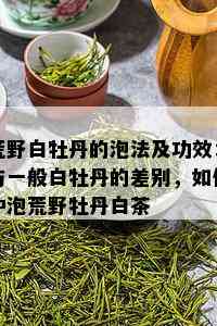 荒野白牡丹的泡法及功效：与一般白牡丹的差别，如何冲泡荒野牡丹白茶