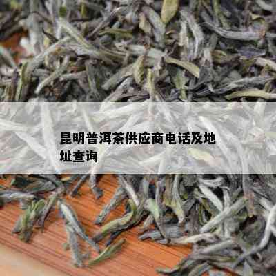 昆明普洱茶供应商电话及地址查询