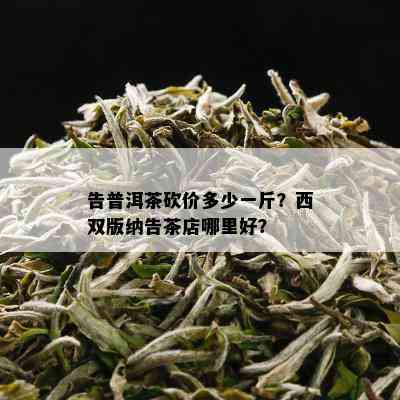 告普洱茶砍价多少一斤？西双版纳告茶店哪里好？