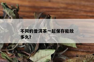 不同的普洱茶一起保存能放多久？