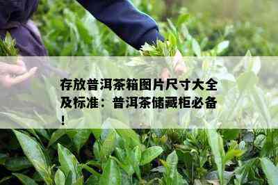 存放普洱茶箱图片尺寸大全及标准：普洱茶储藏柜必备！