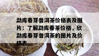 勐库春芽普洱茶价格表及图片：了解勐库春茶价格，欣勐库春芽普洱茶的图片及价格表。