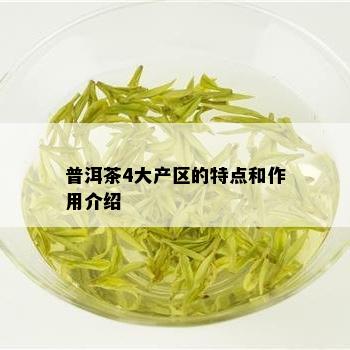 普洱茶4大产区的特点和作用介绍