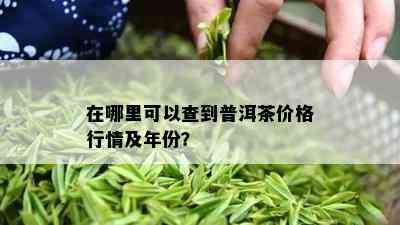 在哪里可以查到普洱茶价格行情及年份？