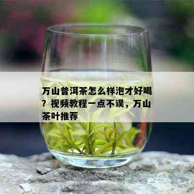 万山普洱茶怎么样泡才好喝？视频教程一点不误，万山茶叶推荐