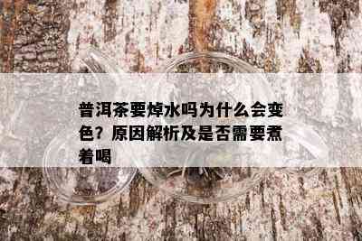 普洱茶要焯水吗为什么会变色？原因解析及是否需要煮着喝