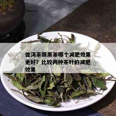 普洱茶跟黑茶哪个减肥效果更好？比较两种茶叶的减肥效果