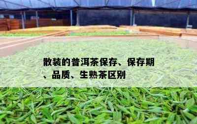 散装的普洱茶保存、保存期、品质、生熟茶区别