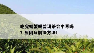 吃完螃蟹喝普洱茶会中吗？原因及解决方法！