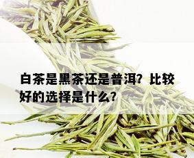 白茶是黑茶还是普洱？比较好的选择是什么？