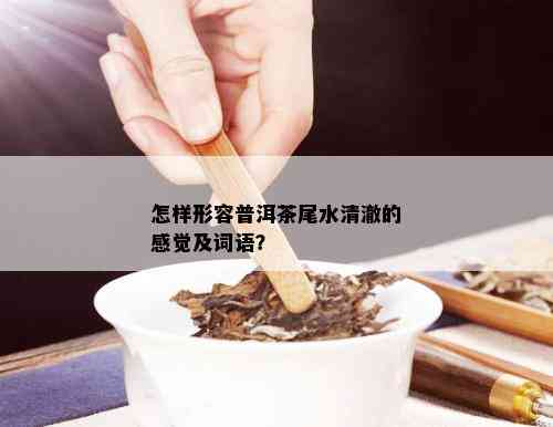 怎样形容普洱茶尾水清澈的感觉及词语？