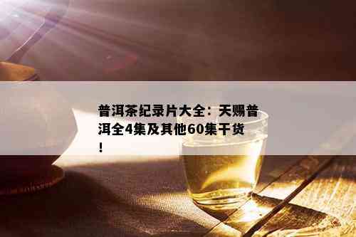 普洱茶纪录片大全：天赐普洱全4集及其他60集干货！