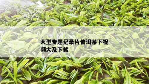 大型专题纪录片普洱茶下视频大及下载