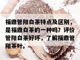 福鼎管阳白茶特点及区别，是福鼎白茶的一种吗？评价管阳白茶好坏，了解福鼎管阳茶叶。