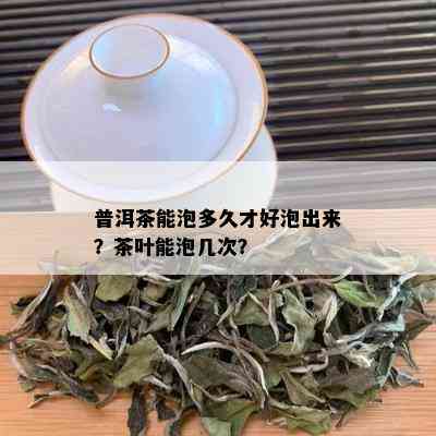 普洱茶能泡多久才好泡出来？茶叶能泡几次？