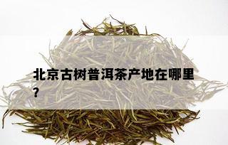 北京古树普洱茶产地在哪里？