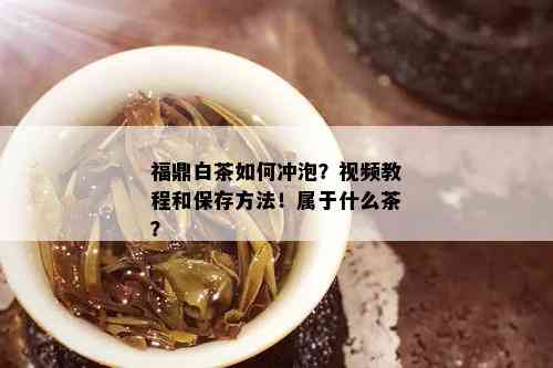 福鼎白茶如何冲泡？视频教程和保存方法！属于什么茶？