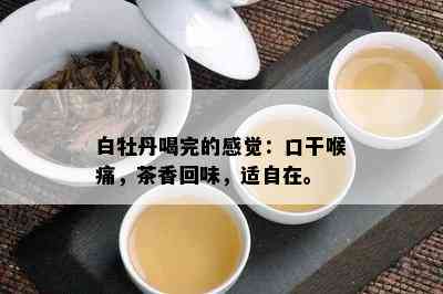 白牡丹喝完的感觉：口干喉痛，茶香回味，适自在。