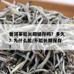 普洱茶能长期储存吗？多久？为什么能/不能长期保存？