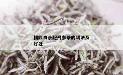 福鼎白茶配丹参茶的喝法及好处