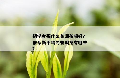 初学者买什么普洱茶喝好？推荐新手喝的普洱茶有哪些？