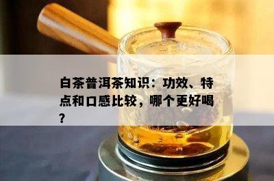 白茶普洱茶知识：功效、特点和口感比较，哪个更好喝？