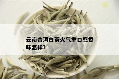 云南普洱白茶火气重口感香味怎样？