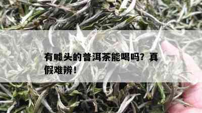 有噱头的普洱茶能喝吗？真假难辨！