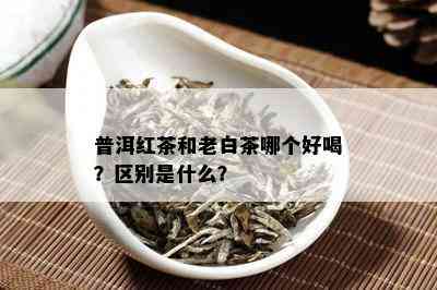 普洱红茶和老白茶哪个好喝？区别是什么？