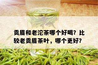 贡眉和老沱茶哪个好喝？比较老贡眉茶叶，哪个更好？