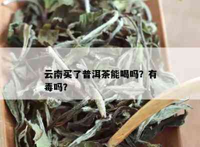 云南买了普洱茶能喝吗？有吗？