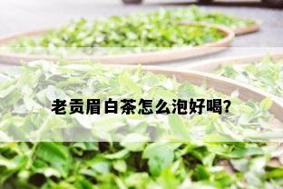 老贡眉白茶怎么泡好喝？