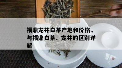 福鼎龙井白茶产地和价格，与福鼎白茶、龙井的区别详解