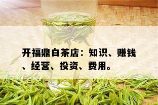 开福鼎白茶店：知识、赚钱、经营、投资、费用。